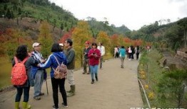 热点爆料农村美景视频,探寻农村美景的绝美瞬间