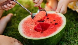 瓜洲免费吃瓜的地方,畅享夏日甜蜜时光